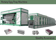 Энергосберегающее оборудование прессформы пульпы для подноса яйца, слоя многократной цепи коробки яйца